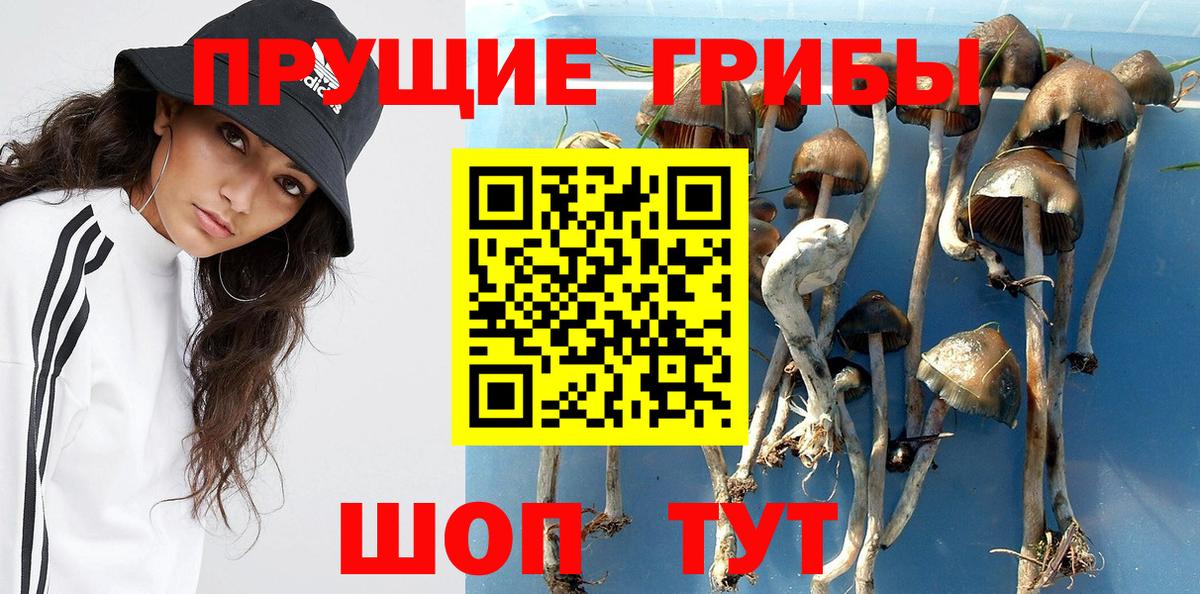 Псилоцибиновые грибы ЛСД  Вход с VPN  Качканар 