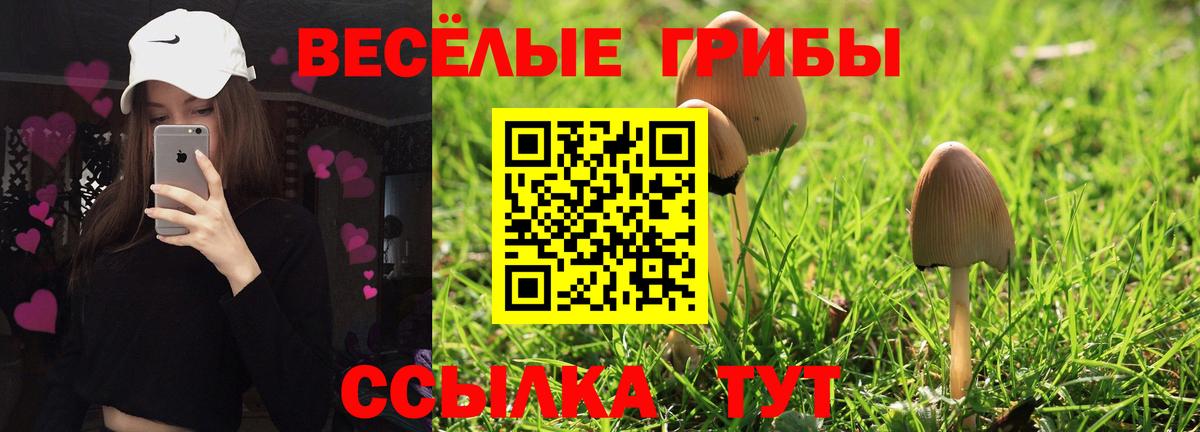 Псилоцибиновые грибы мицелий Качканар